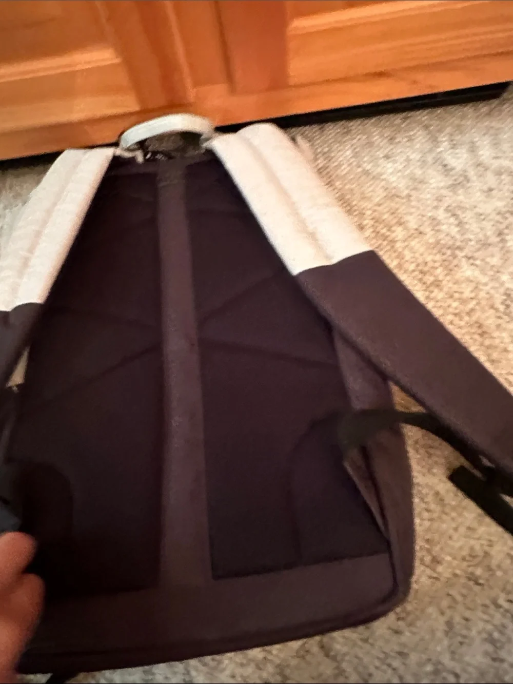 Thule Two-Tone Light Gray and Black Roll-Top Backpack new with tag